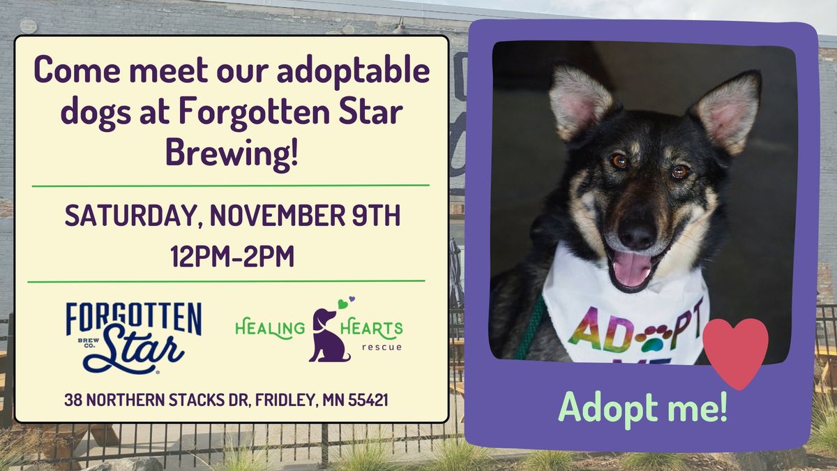 Dog Adoption Event at Forgotten Star Brewing