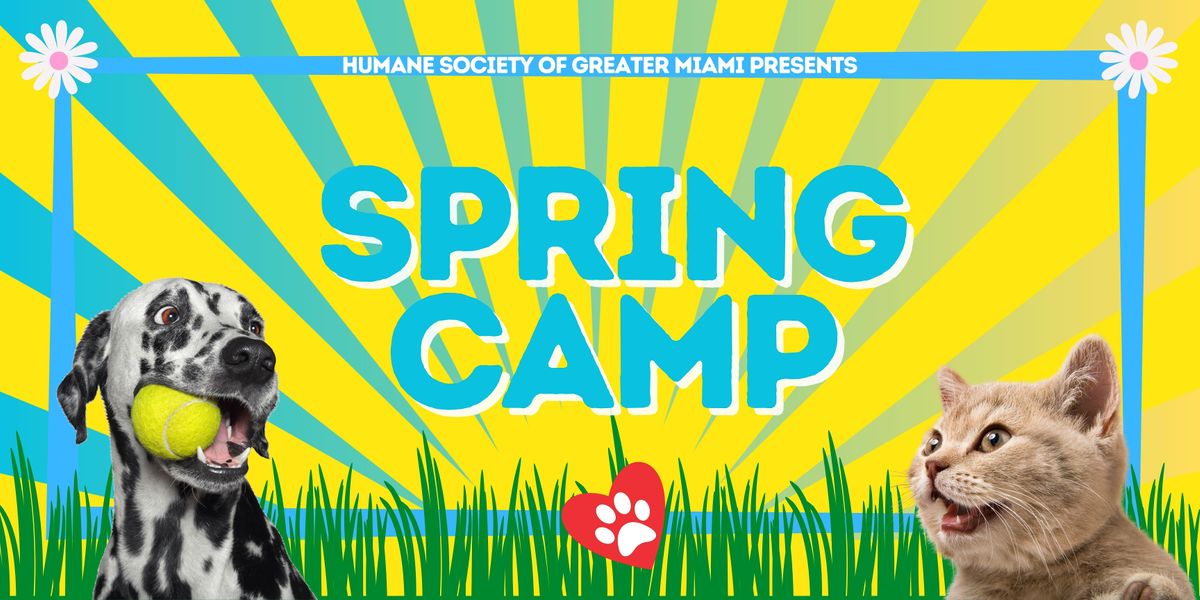 Spring  Camp (Ages 9-12)