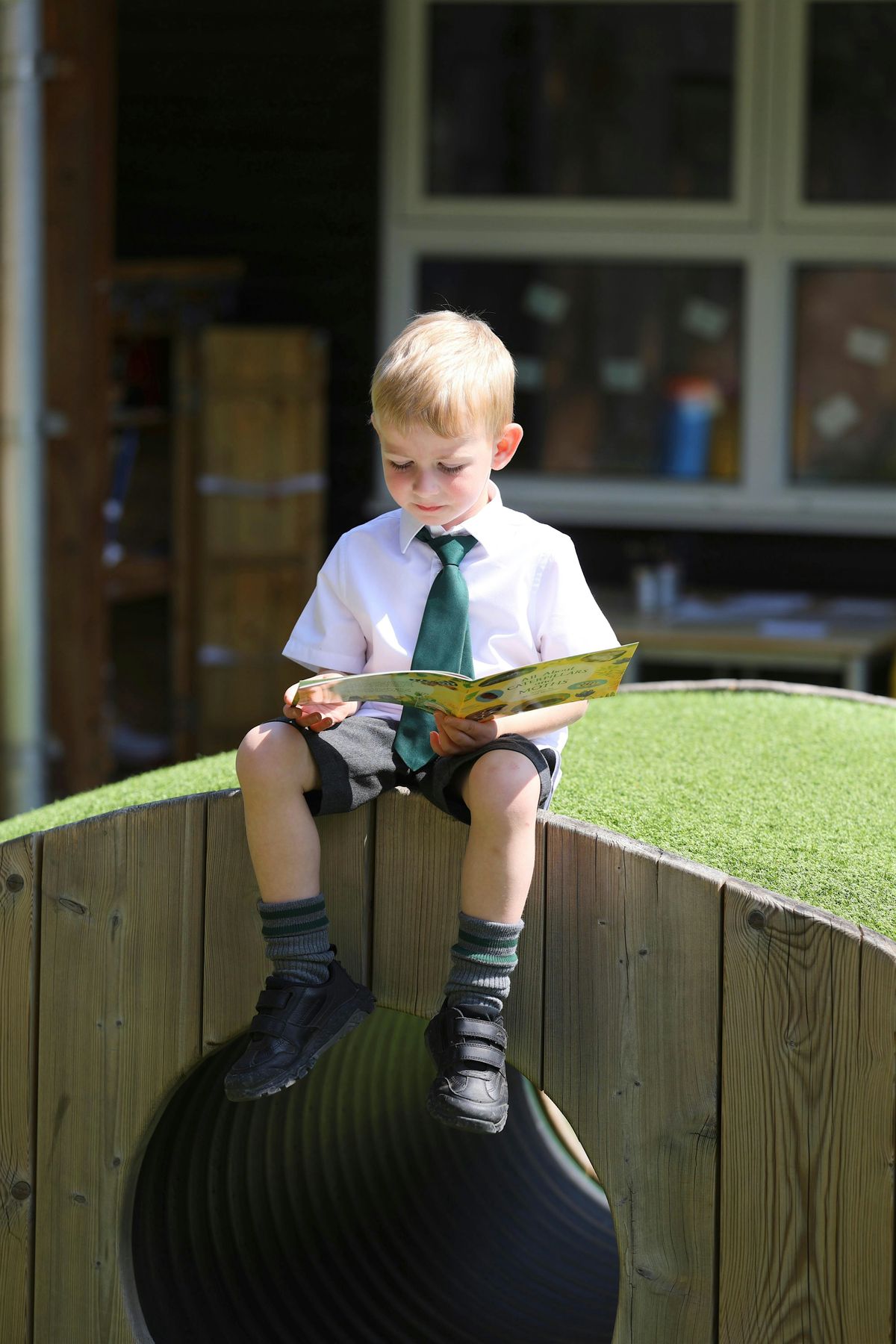 Stay & Play - Dear Zoo