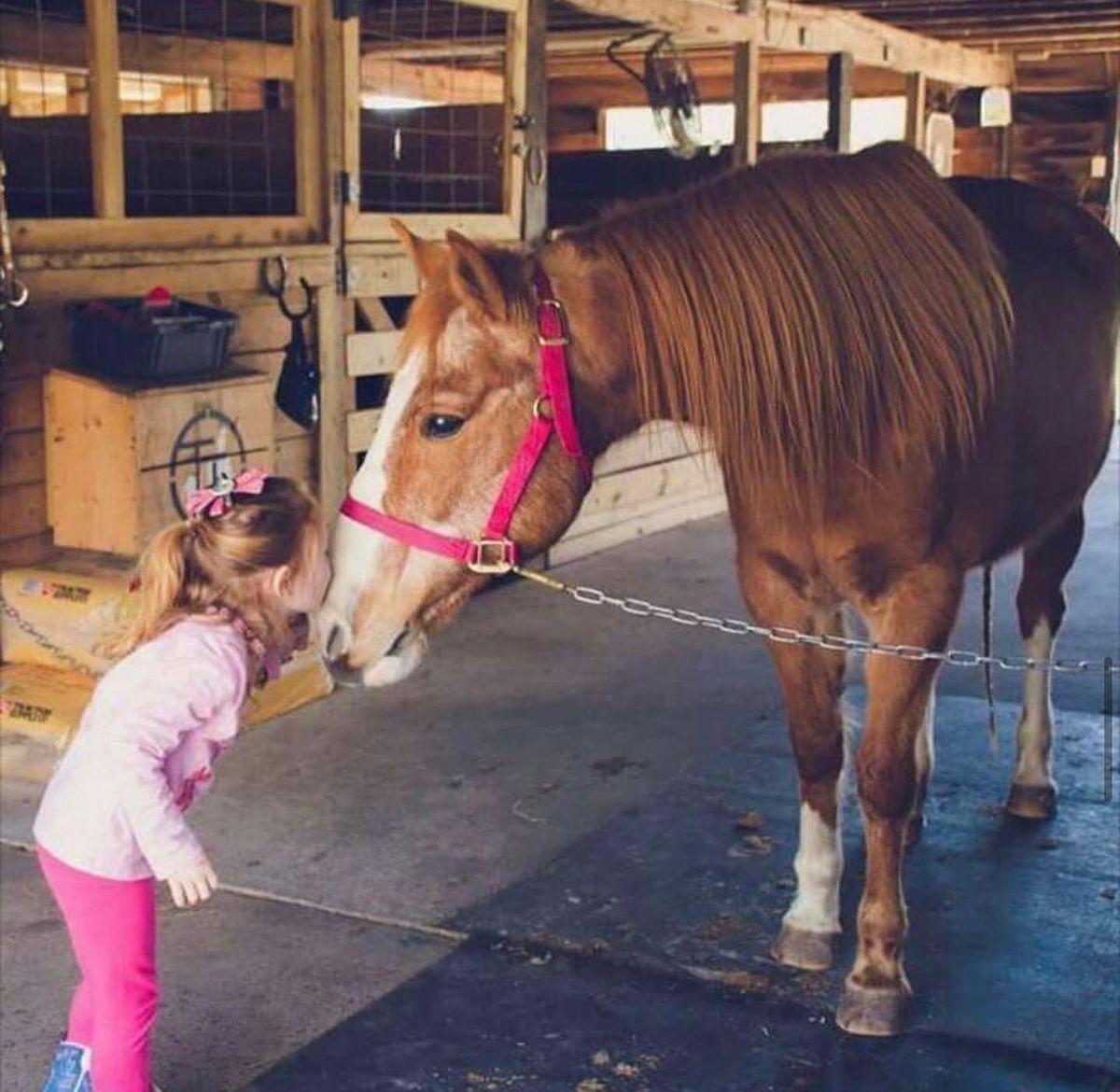 Summer Camp at Triple J Stables & Petting Zoo