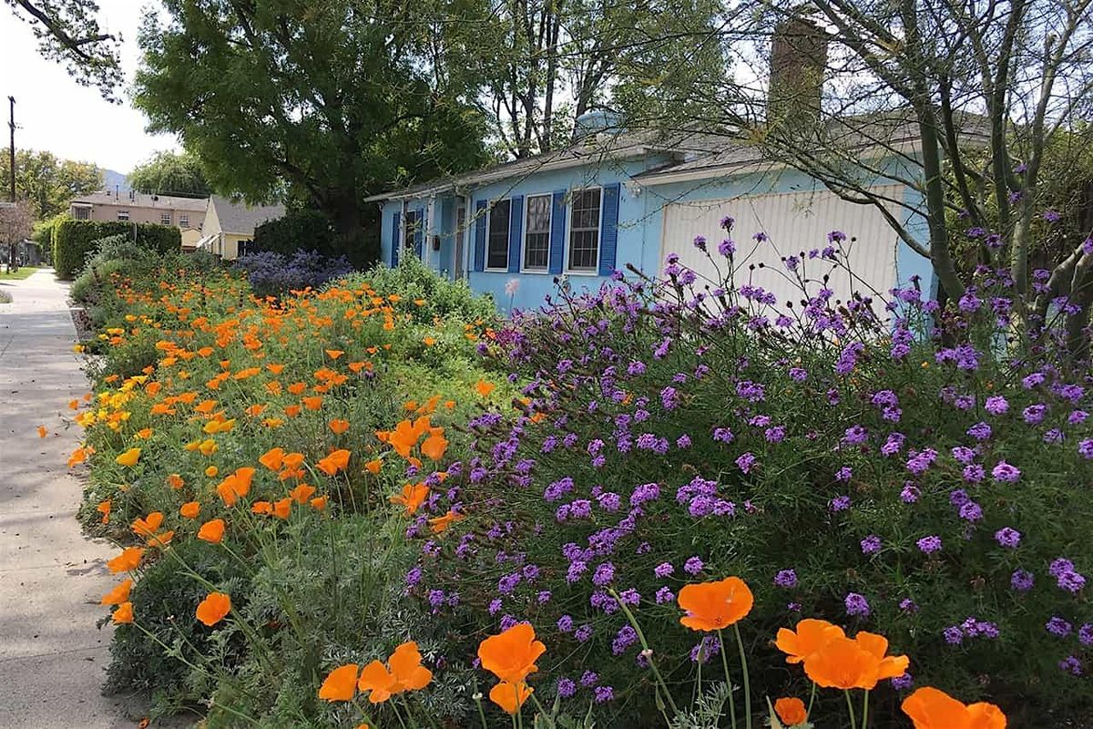 Intro to California Native Plant Garden Design with Tim Becker