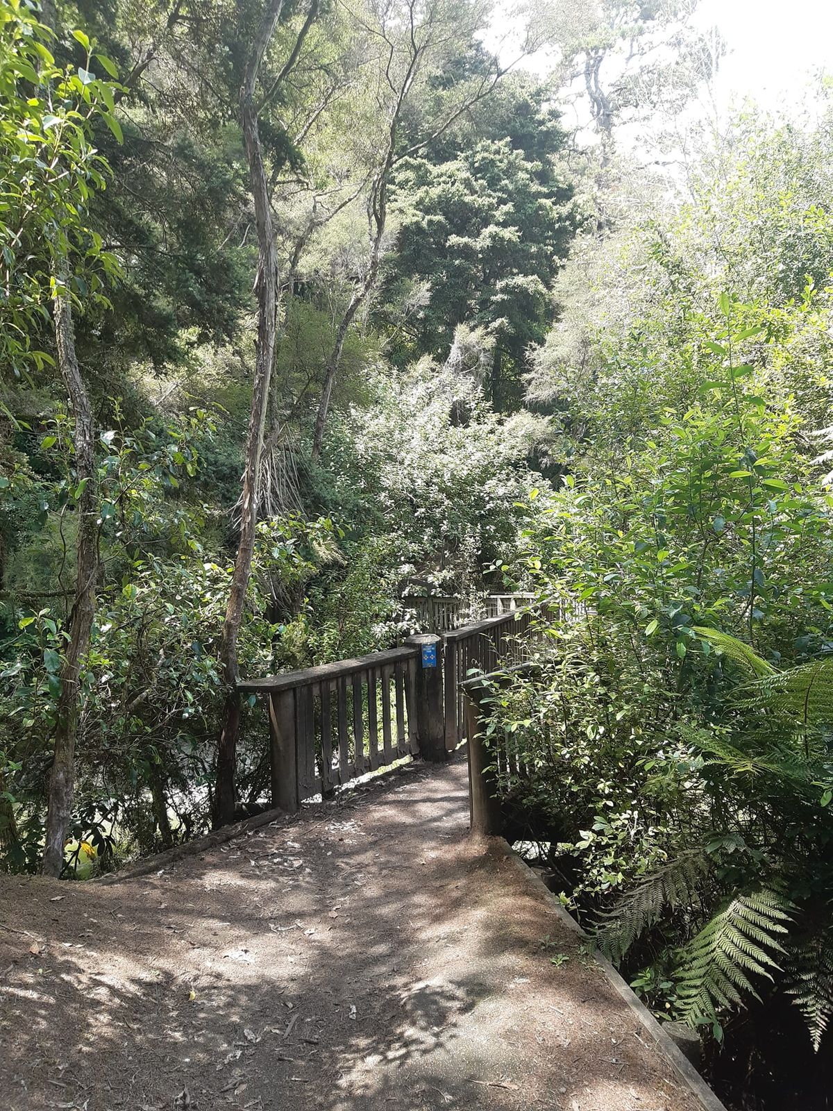 South Waikato Volunteer Awards