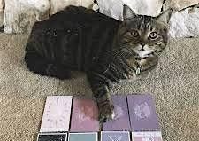 Tarot Cards and Cats