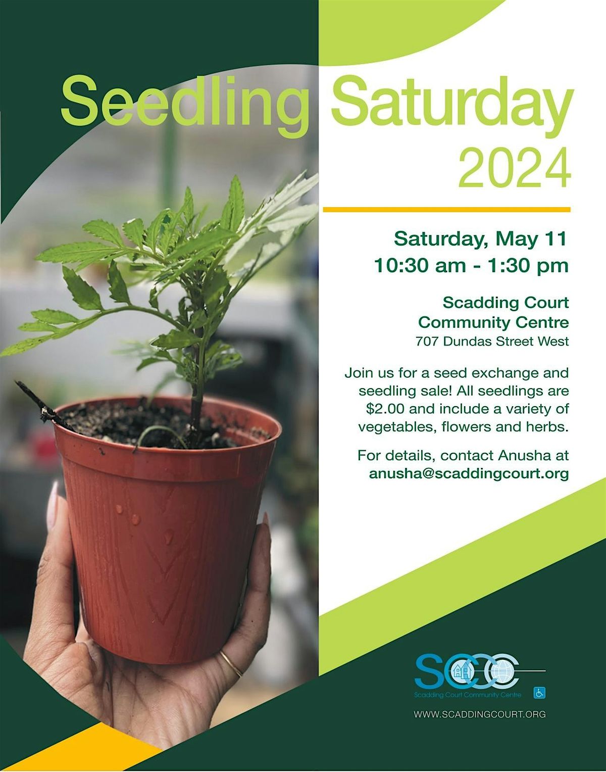Scadding Court Seedling Saturday