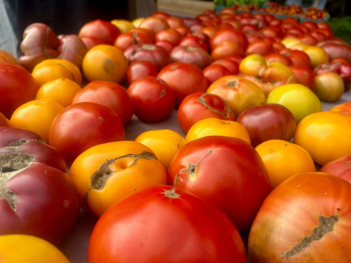 Watauga County Farmers' Market