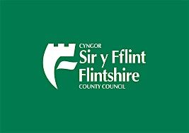 Flintshire Council Focus Groups