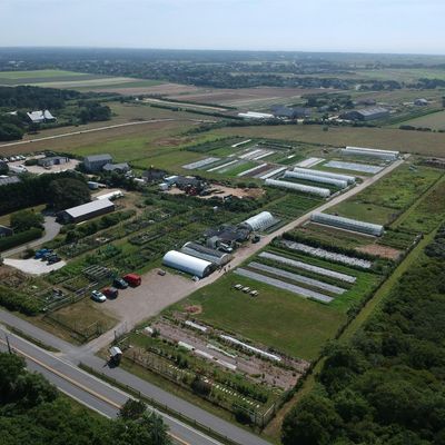 Sustainable Nantucket