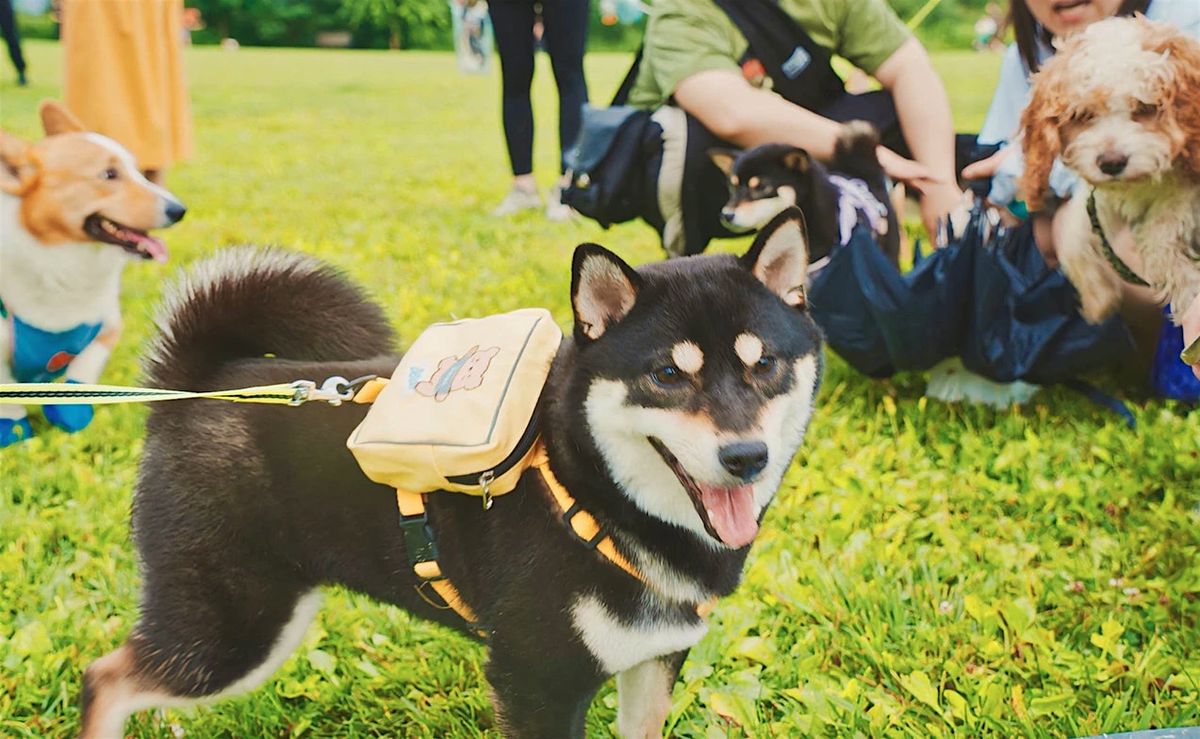 Pups in the Park