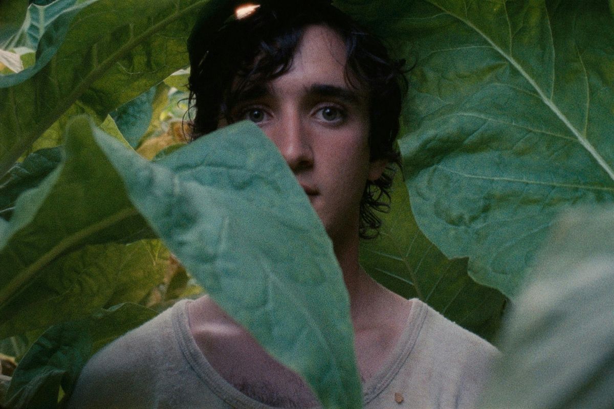 LUNED\u00cc AL CINEMA: Screening of  \u201cHappy as Lazzaro\u201d (2018) ITA SUB ENG