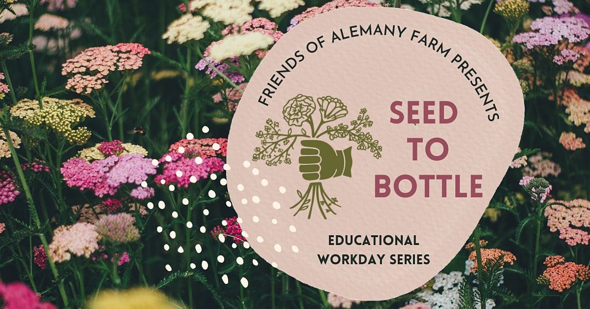 Seed to Bottle: Medicine Garden Educational Workday Series