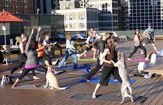 Office Yoga & Corporate Wellness San Francisco