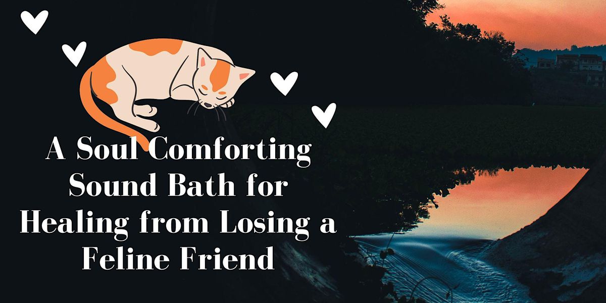 Soul Comforting Sound Bath for Healing from Losing a Feline Friend