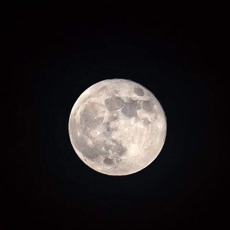 Forest Bathing with the Wind Full Moon at Prairiewoods (in person)