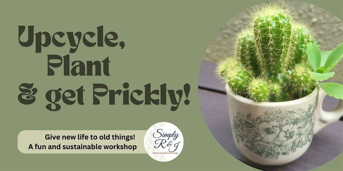 Upcycle, Plant & Get Prickly!