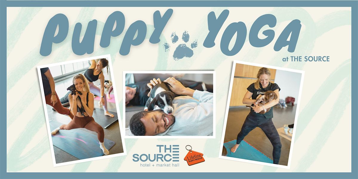 Puppy Yoga at The Source