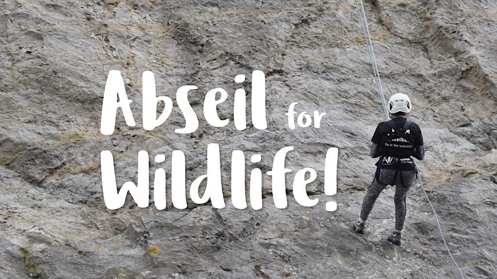 Abseil for Wildlife 2024!