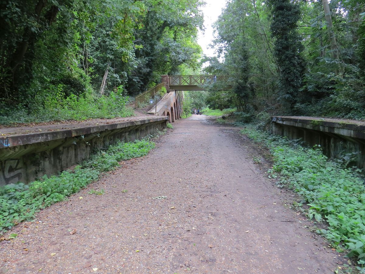 Walking Tour - The  Lost Railway of Haringey: Finsbury Park to Ally Pally