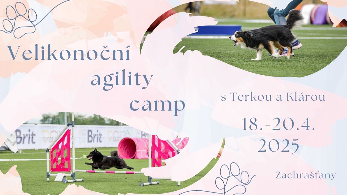 Velikono\u010dn\u00ed agility camp \ud83d\udc25