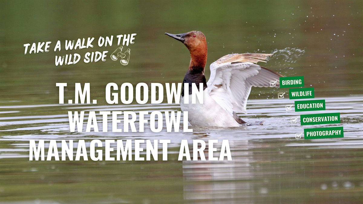 T. M. Goodwin Waterfowl Management Area