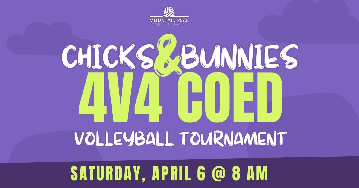 Chicks & Bunnies - Coed 4v4 Volleyball Tournament