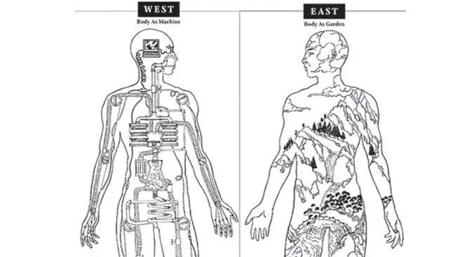 East Meets West: philosophies of medicine