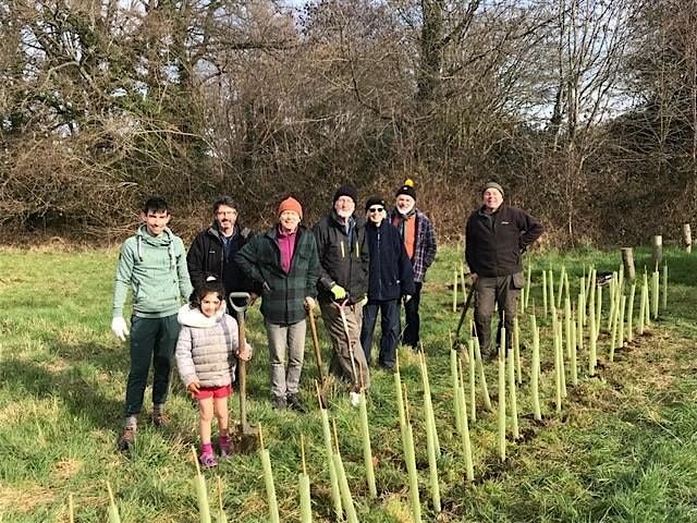 Tree Planting in Horley