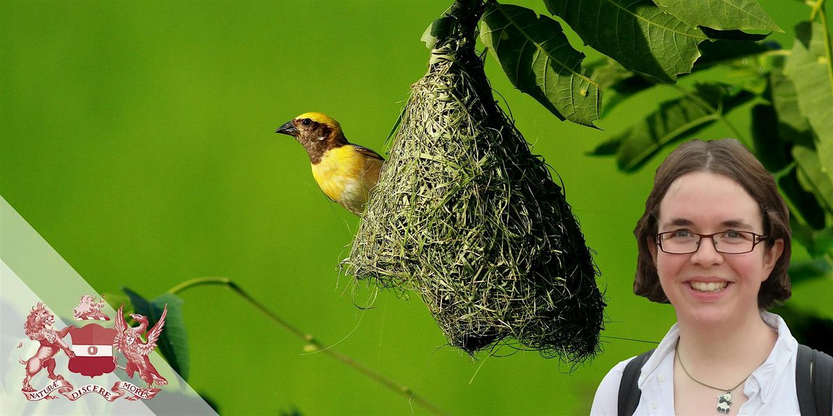What Can Birds' Nests Teach us About Evolution?