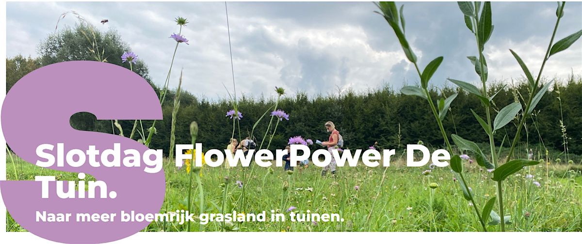 Slotdag FlowerPower De Tuin: Naar meer bloemrijk grasland in tuinen.