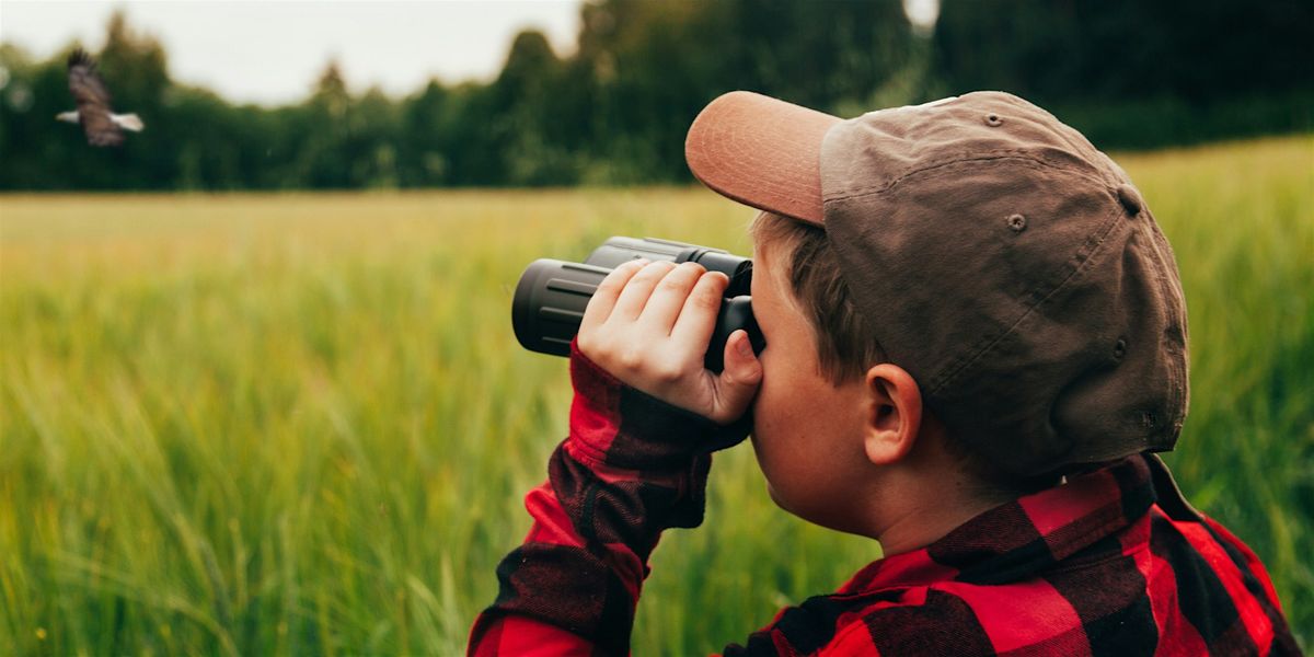 Birding for Beginners