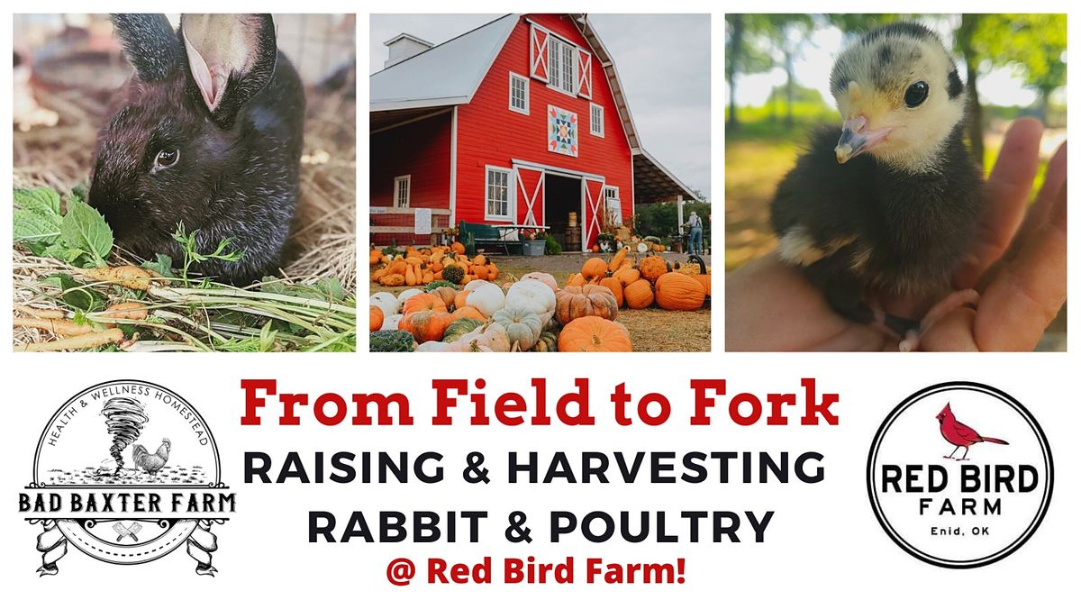 Raising and Harvesting Rabbit and Poultry - From Field to Fork, Red ...