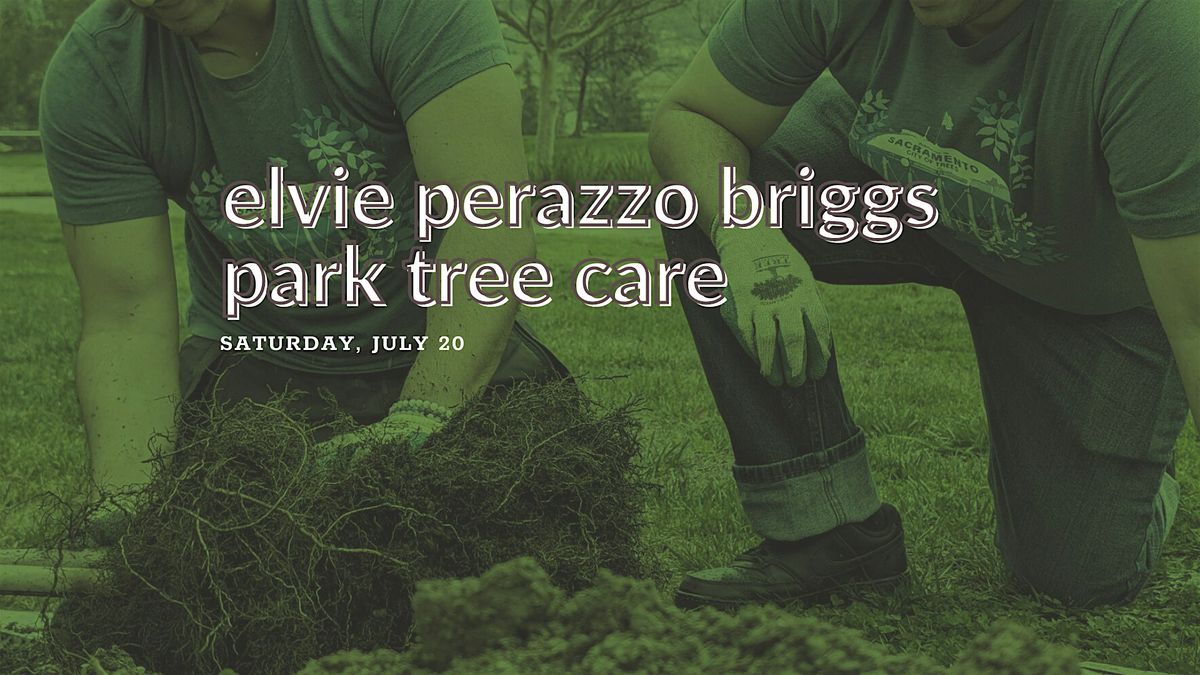Elvie Perazzo Briggs Park Tree Care