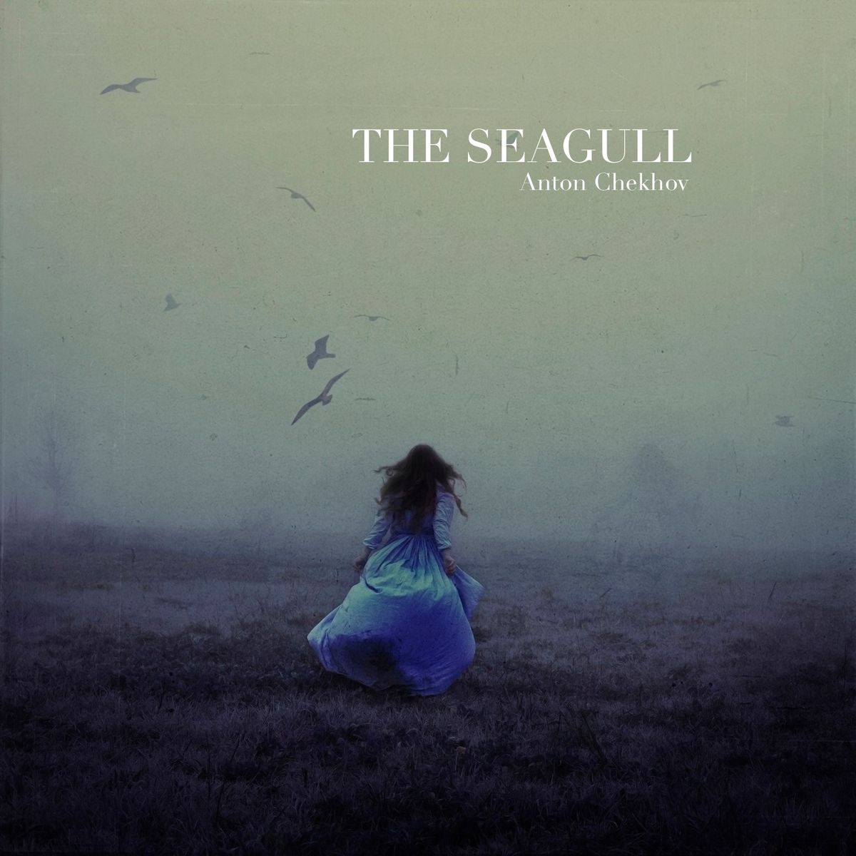 The Seagull by Anton Chekhov