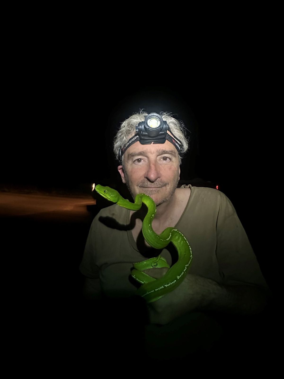 Australian Snake Venom - Theo Tasoulis 