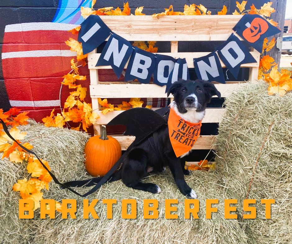 Barktoberfest 2024!