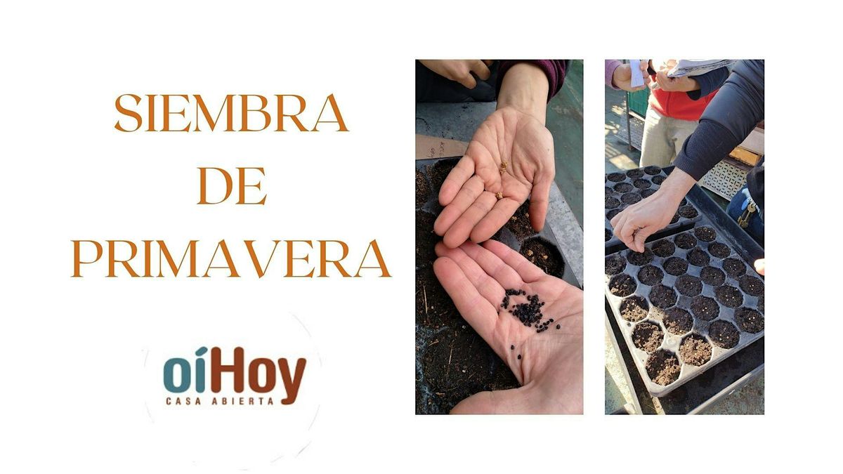 Siembra de Primavera en O\u00edHoy