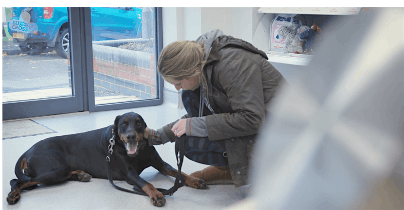 Pet Loss Training Day-Veterinary Professionals-South(EXETER)