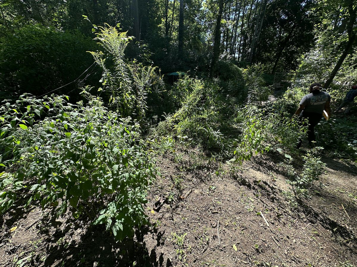 Forest Sanctuary Volunteer Stewardship Event