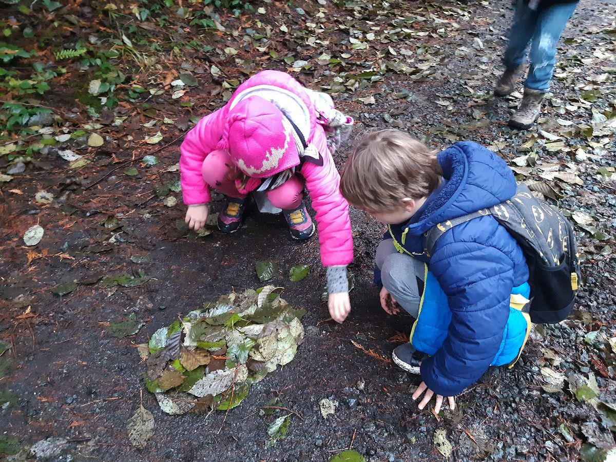 November Family Nature Walk - Beavers!