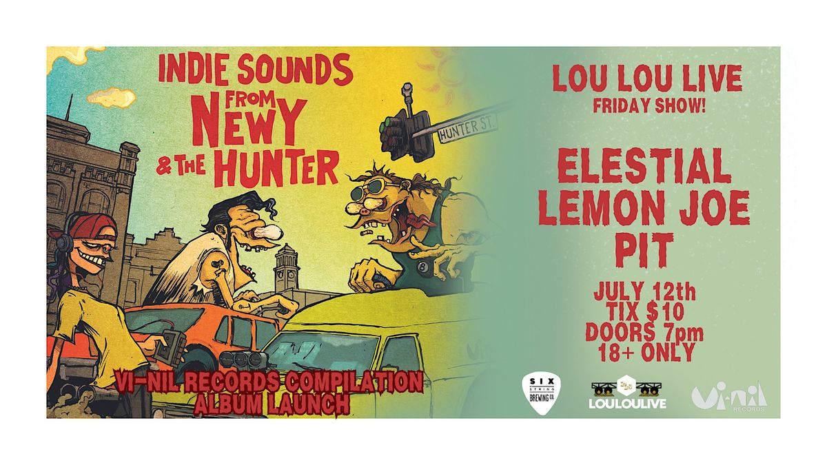 VI-NIL RECORDS INDIE SOUNDS FROM NEWY & THE HUNTER-ELESTIAL, LEMON JOE, PIT