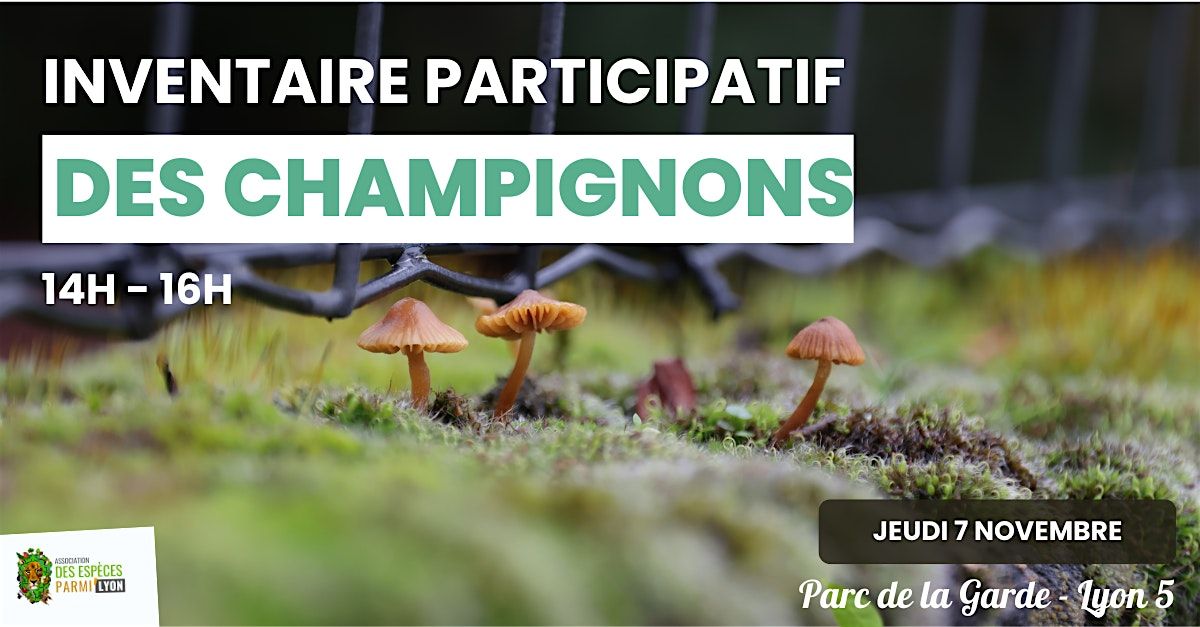 Biodiv\u2019 building : les champignons