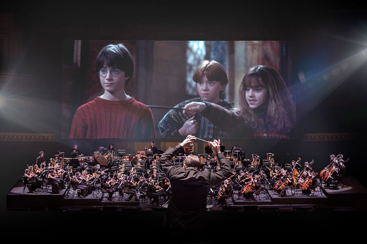 Harry Potter and The Sorcerers Stone in Concert at Riverside Theater - WI