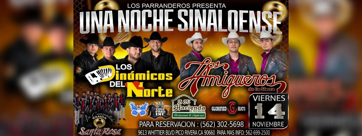LOS DINAMICOS DEL NORTE, LOS AMIGUEROS DE LA SIERRA & MAS 
