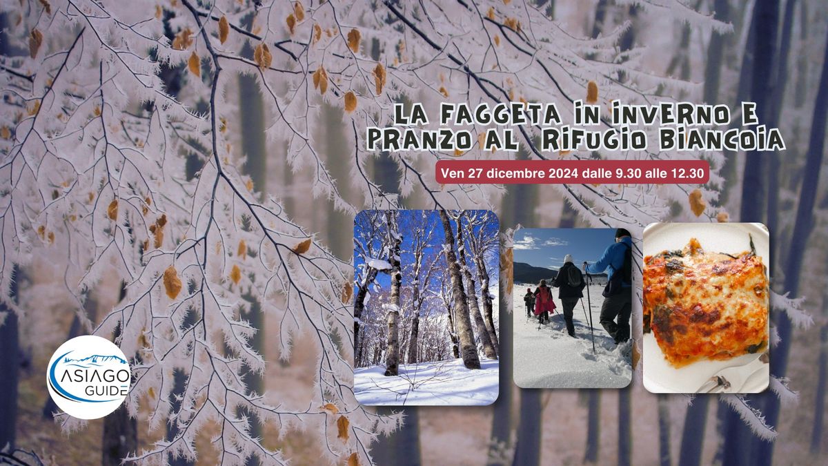 La faggeta in inverno con le ciaspole e pranzo a Biancoia