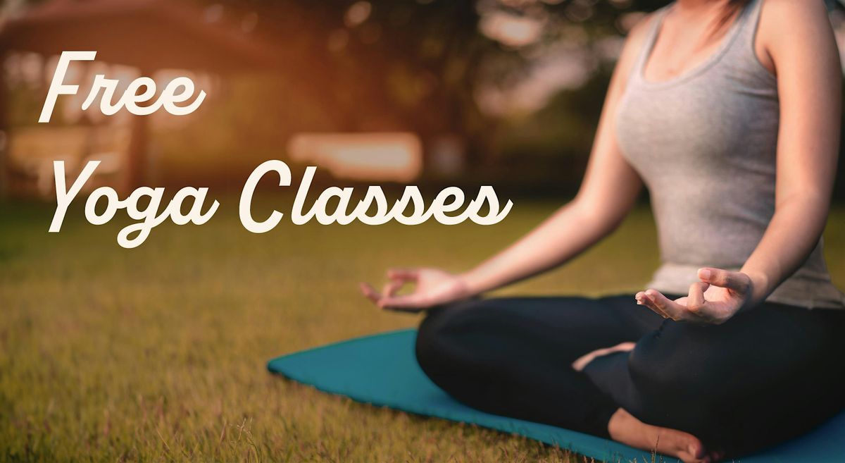 Outdoor Group Yoga Classes