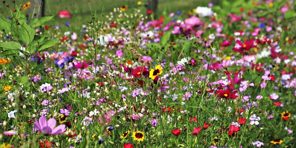 Wildflower Floral Design Class at The Flourish Studio