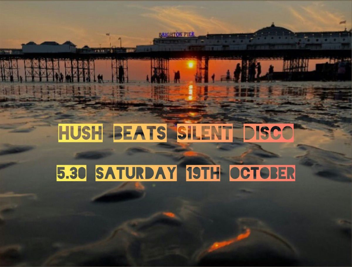 Daylight Disco Club- Low tide, sunset by the Palace Pier