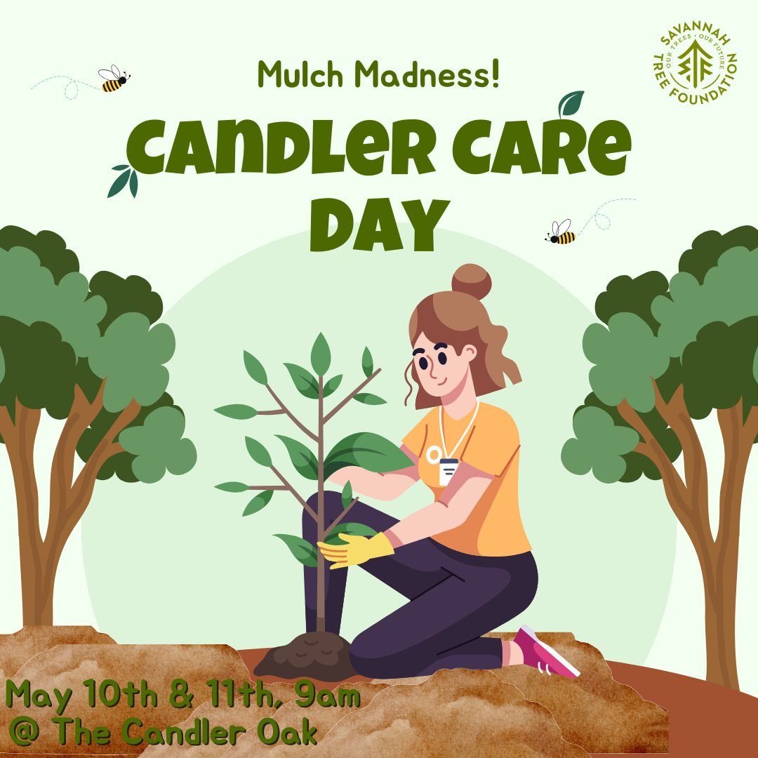 Candler Care Day