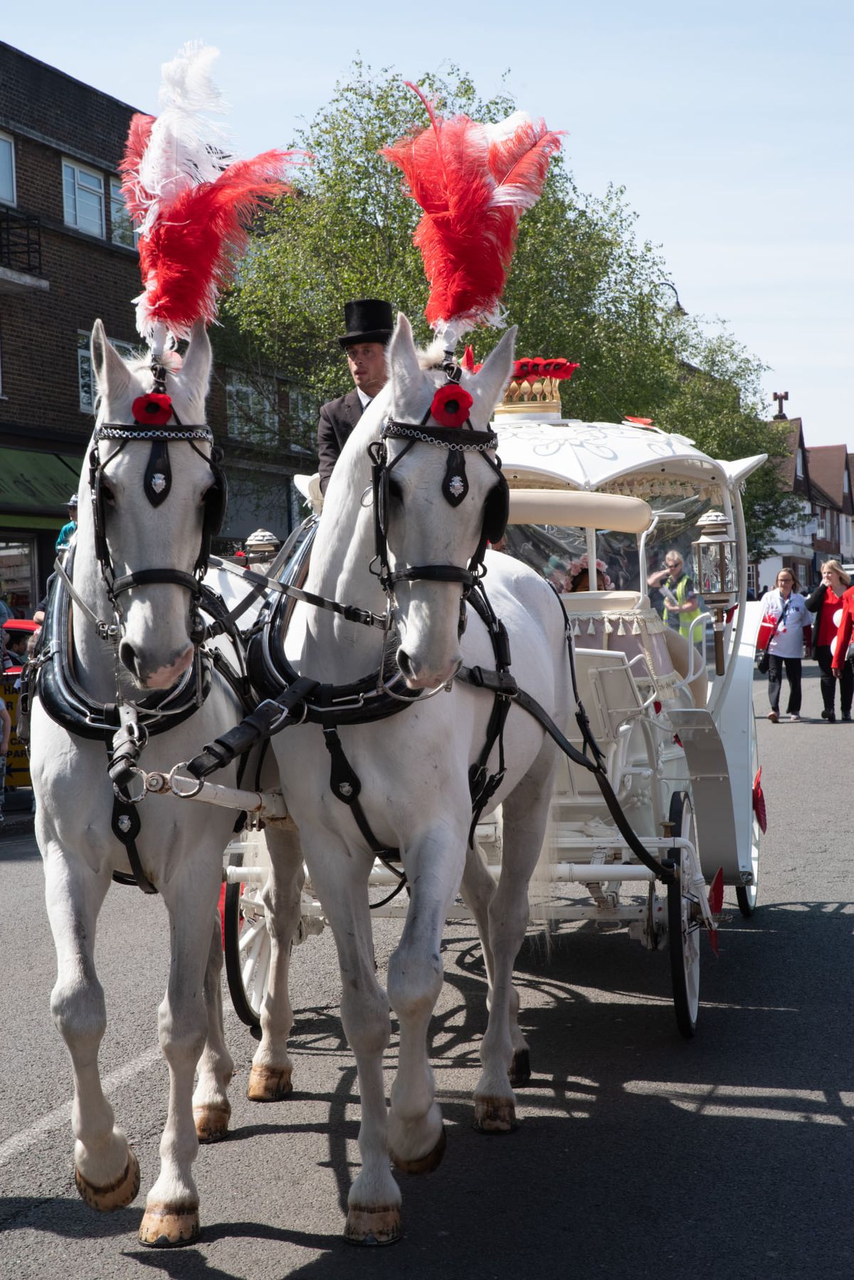 40th Banstead Village May Fayre