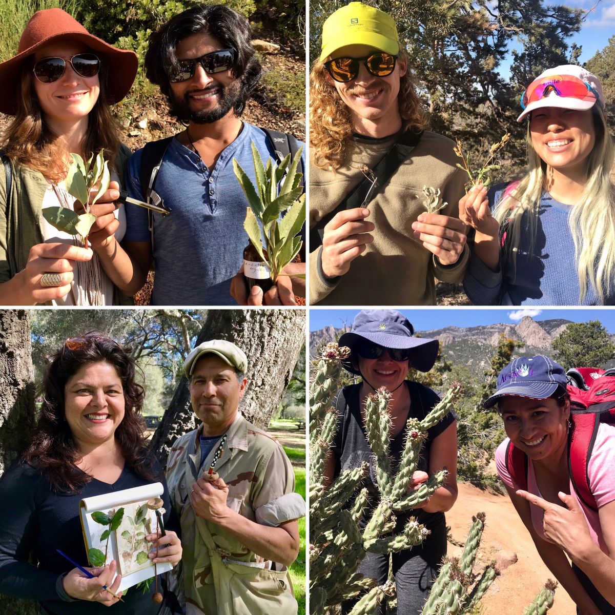 Edible & Medicinal Plants of the Northern Chihuahuan Desert