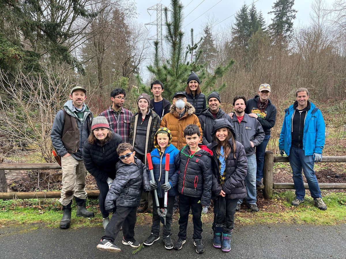 Forest Restoration at North Rose Hill Woodlands Park